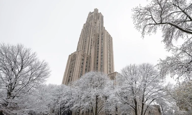 8 Pitt undergraduates earned Gilman Scholarships