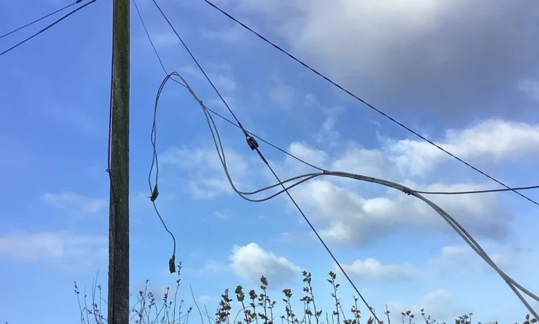 8,000 homes, farms and businesses without power this morning