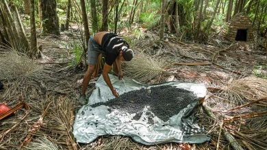 8,6 milhões de pessoas saíram da pobreza entre 2023 e 2024