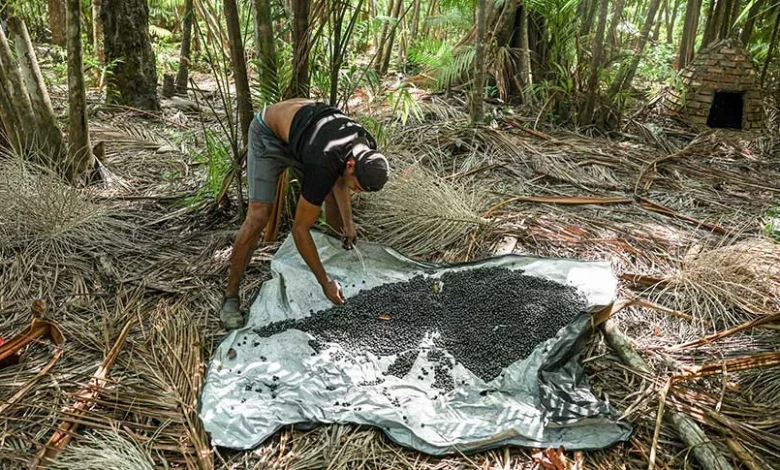 8,6 milhões de pessoas saíram da pobreza entre 2023 e 2024