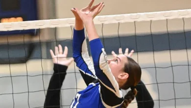 9 area players selected to volleyball all-state teams