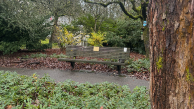 A 14-Point Plan for Mayor Wilson