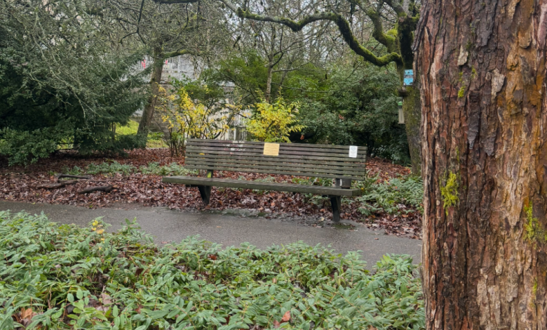 A 14-Point Plan for Mayor Wilson