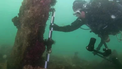 A 7,800-Year-Old Massive Stone Wall Discovered Beneath the Sea off the Coast of France