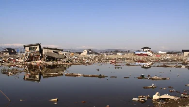 A Complete Guide to Tsunami: What To Know and How To Stay Safe in Japan