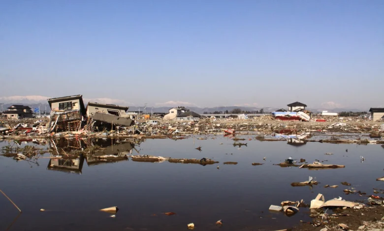 A Complete Guide to Tsunami: What To Know and How To Stay Safe in Japan