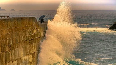 A Massive Tsunami Swept the Pacific — And NASA's Satellite Mapped the Giant Wave's Geometry