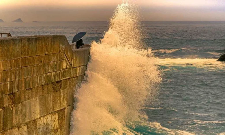 A Massive Tsunami Swept the Pacific — And NASA's Satellite Mapped the Giant Wave's Geometry