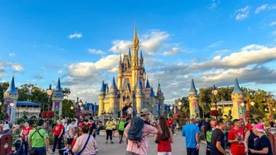A New Flu Strain Is Affecting Disney World Travelers