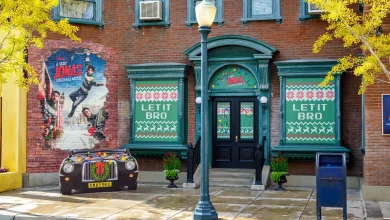 A Very Jonas Christmas at Disney: Jonas Brothers Photo Spots and Movie Viewings