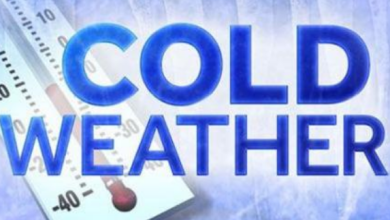 AAA advice on car care as artic temperatures hit; the cold punishes vehicles