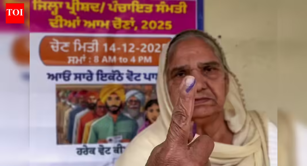 AAP accused of booth captuing, voting halted in Muktsar village; MLA’s brother stormed polling station, s