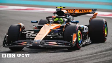 Abu Dhabi Grand Prix: Lando Norris edges Max Verstappen in first practice of title-decider