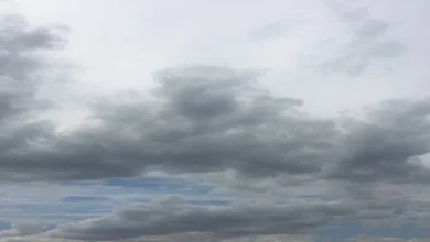 Adelaide weather forecast for Friday December 12th and the days ahead