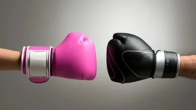 Adobe Vs Canva, Old Vs New