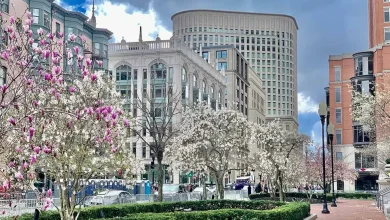 Aer Lingus boosts flights to Boston in biggest ever schedule reveal