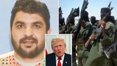 Afghan terror and Somalia fraud shows why Trump is right on migrants