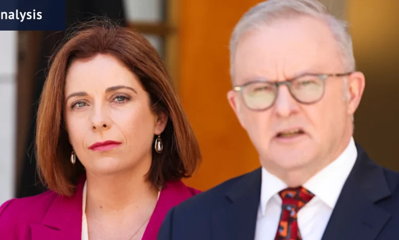 Albanese’s words from 2015 that reveal tension at the heart of Wells scandal