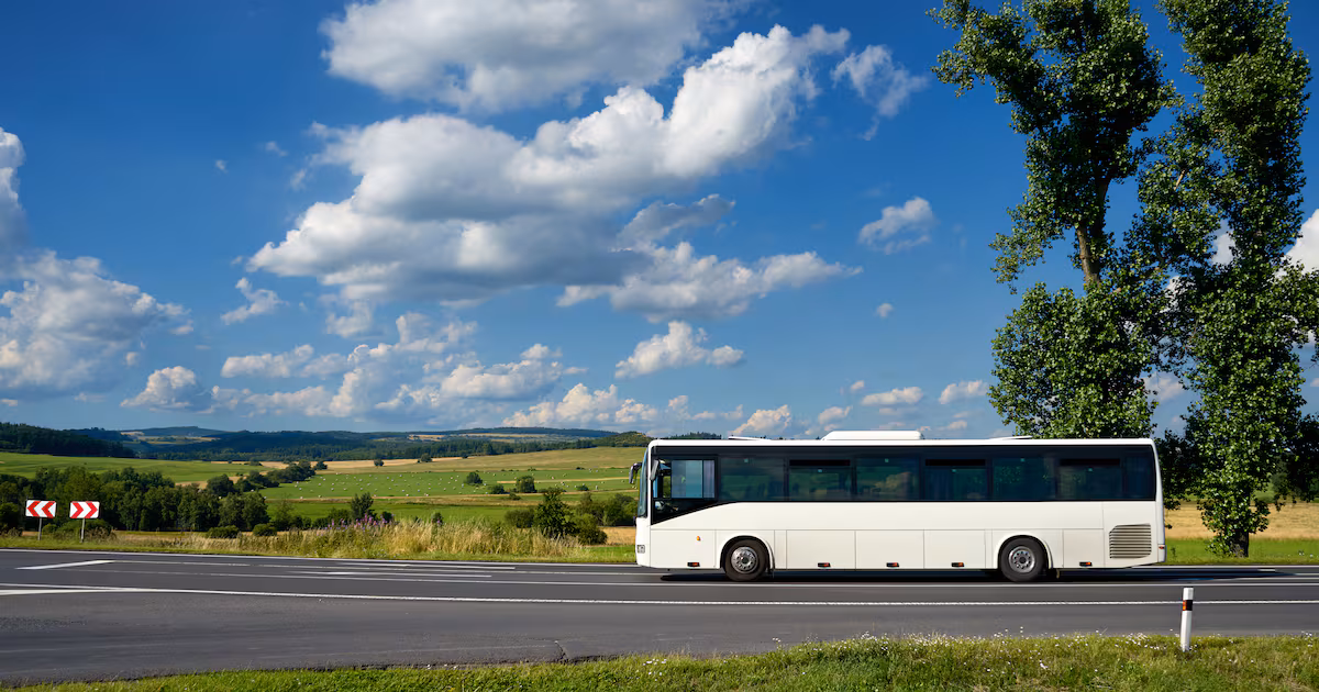 Alleged collusion between school bus operators drove up tender prices, trial hears