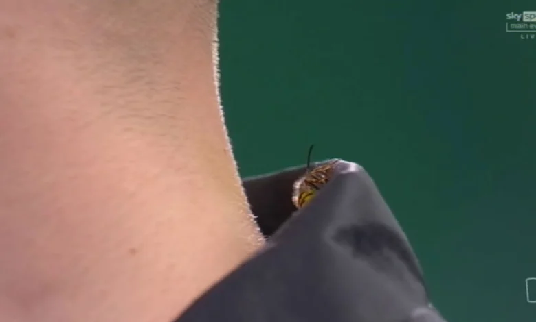 Ally Pally wasp back AGAIN and wreaking havoc inside Teemu Harju's shirt as opponent's reaction caught on live TV