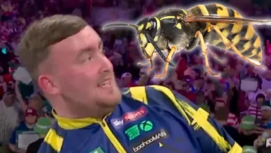 Ally Pally wasp delights darts fans by buzzing back to life after assassination attempt