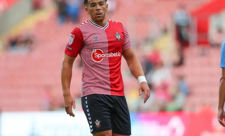 'Amazing chance' - Adams pleased to see Saints winning again in Championship