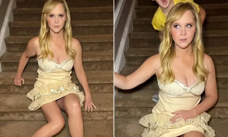Amy Schumer’s Photo Shoot Interrupted by Son Gene