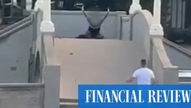 An unlikely hero: the story of the man from the bridge