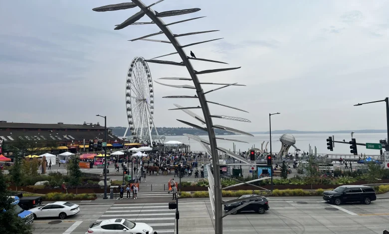 Angela Brady is Wilson’s Pick for Interim SDOT Director