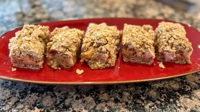 Ann Michael Maye has baked her way into Patriots fans’ hearts. But are her apple cinnamon bars worth the hype?