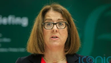 Anne O’Connor appointed as next HSE chief