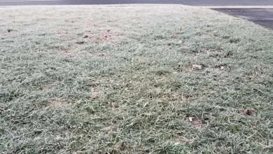 Another cold December week for NJ, two minor snow chances