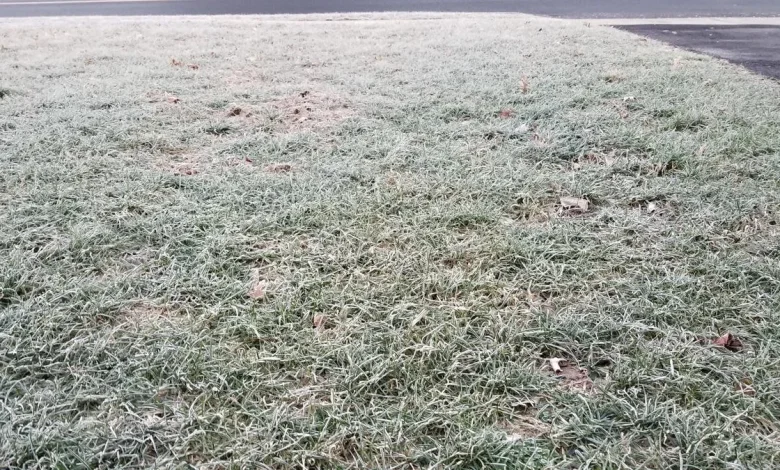 Another cold December week for NJ, two minor snow chances