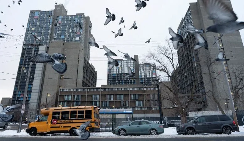 Anxiety grips Minneapolis’s Somali community as immigration agents zero in on the Twin Cities