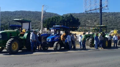 Apoyos económicos a maiceros se entregarán a finales de este mes