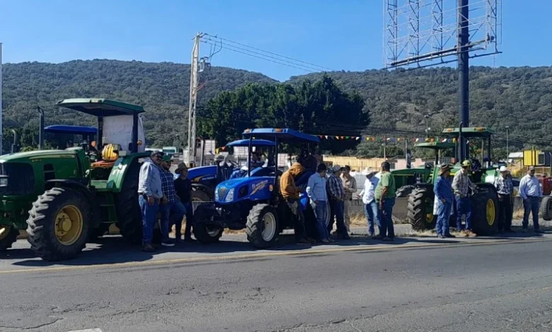 Apoyos económicos a maiceros se entregarán a finales de este mes