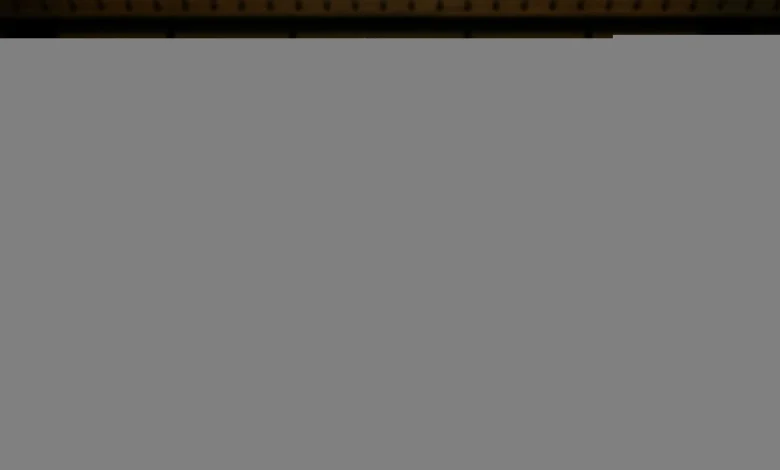 Appointment of interim executive chairman | Club | News