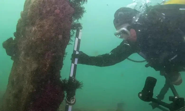 Archaeology breakthrough: Divers stunned as massive 7,000-year-old 'sunken city' discovered miles off French coast