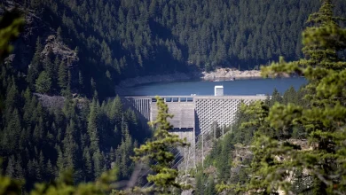 Army takeover of Skagit dams lowers flood waters