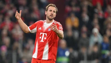 Arsenal chiefs named Wolves hero 'better than Harry Kane' in costly mistake