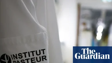 As NHS braces for record flu cases, is the strain active in continental Europe too?