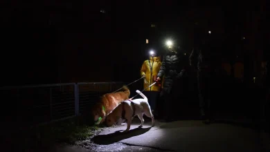 As peace talks grind on, Russia zeroes in on Ukraine’s power