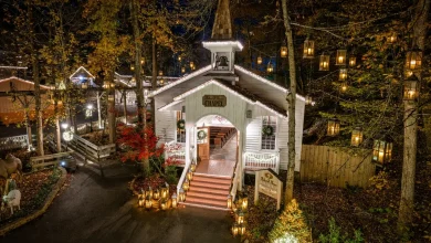 Asheville-area residents can snag big savings on Dollywood trips