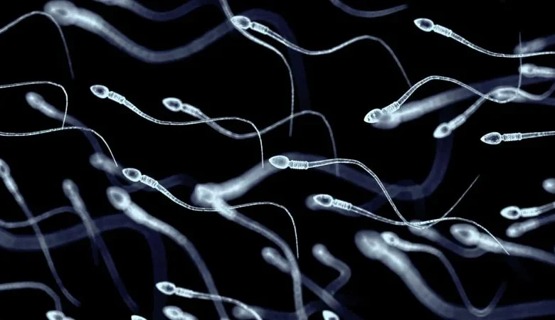 At least 197 children were fathered by sperm donor with cancer-causing gene. Some have already died