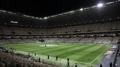 Atlético-MG x Palmeiras: onde assistir ao vivo, horário e escalações