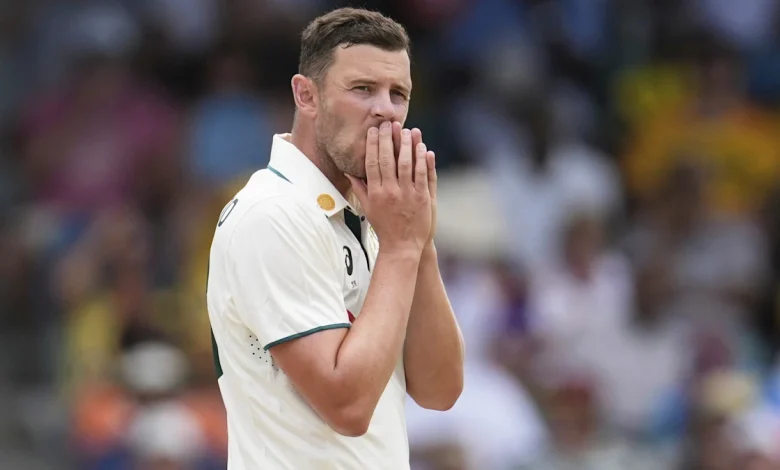 Australia dealt heavy Josh Hazlewood blow mid-Ashes as cost of injury setback revealed