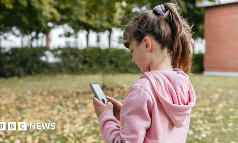 Australia social media ban sets up fight with big tech over children's safety