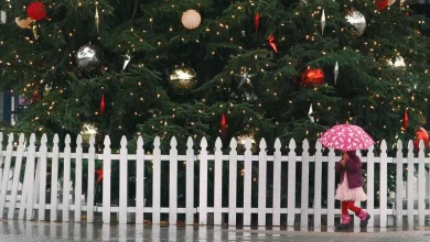 BBC Weather verdict on Christmas Day weather in London