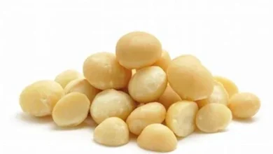 Baking Macadamia Nuts Recalled Due to Possible Salmonella Contamination