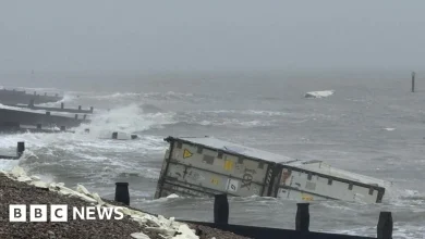 Banana containers cause shipping disruption in Solent